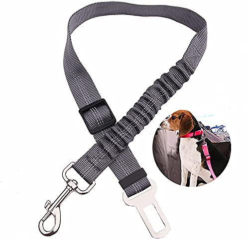 DAGUAI Wulivon Safety Arness Perro Poliéster Tracción Cinturón de Seguridad Cojín Elástico Reflectante Asiento Cinturón Perro Coche Cat Harness Verde (Color : Gray)