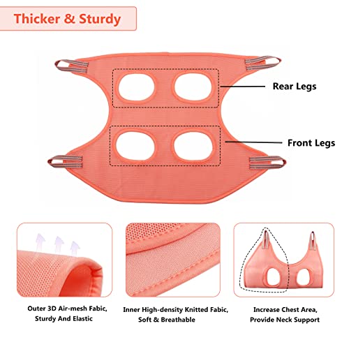 DaizySight Kit de Suministros de Hamaca para Mascotas, para Gatos, Cachorros pequeños y Mini Perros, tamaño: XS, arnés para Colgar para Recortar uñas, Tabla de Aseo para Mascotas