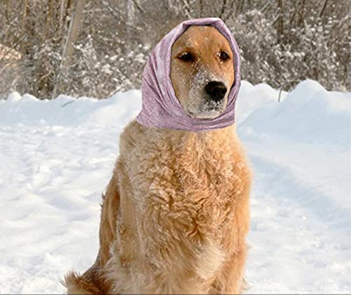 dancepandas Gorro de Perro 2 Piezas Redecillas de Perro Calentador de Cuello y Orejas de Perros para Confort Anti-ansiedad Aseo Reducir Ruido