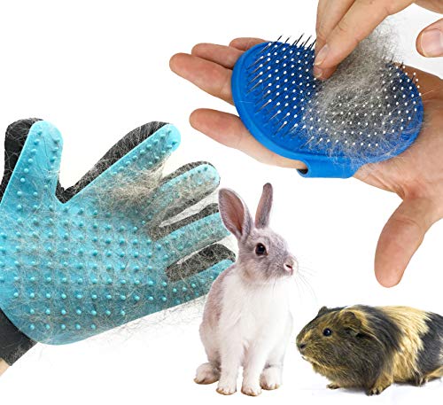 Dasksha - Kit de cuidado para conejos con cepillo para el cuidado del conejo, el mejor cepillo para el pelo y removedor de pelo de conejo, chinchilla y cobaya.