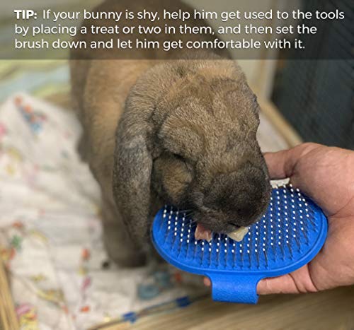 Dasksha - Kit de cuidado para conejos con cepillo para el cuidado del conejo, el mejor cepillo para el pelo y removedor de pelo de conejo, chinchilla y cobaya.