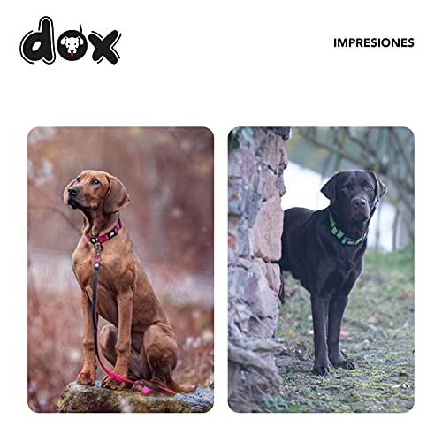 DDOXX Collar Perro Air Mesh, Ajustable, Acolchado | Muchos Colores & Tamaños | para Perros Pequeño, Mediano y Grande | Collares Accesorios Gato Cachorro | Negro, M