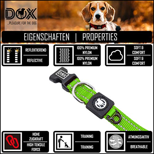 DDOXX Collar Perro Nylon, Reflectante, Ajustable | Muchos Colores & Tamaños | para Perros Pequeño, Mediano y Grande | Collares Accesorios Gato Cachorro | Verde, M