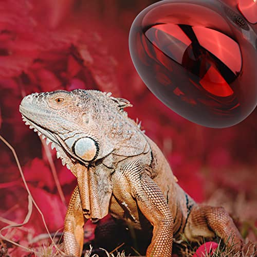 DERNORD Lámpara de calor infrarroja para reptiles – 100 W rojo bombilla de calor noche para tortuga, camaleón, cachorro, barbudo, dragón, aves de corral, vivario, terrario, 2 unidades