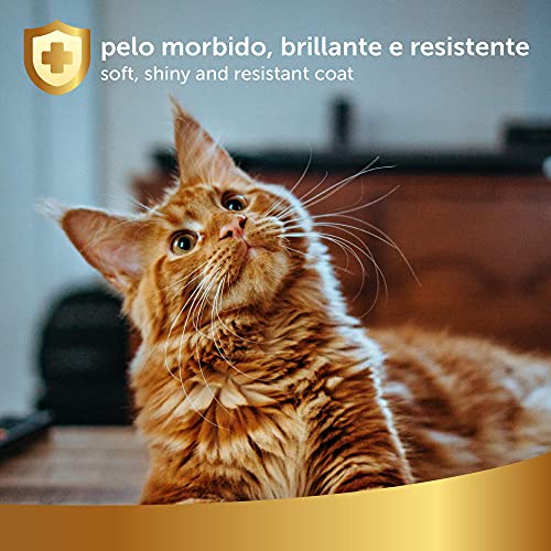 Desenredante y Desodorante para Gatos, 250ml - Acondicionador Natural Spray, Afloja Nudos, Suaviza el Pelo y Perfuma - No Requiere Aclarado y Agua - Apto para Todo Tipo de Pelo, Línea 101