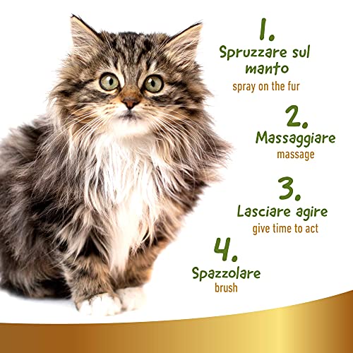 Desenredante y Desodorante para Gatos, 250ml - Acondicionador Natural Spray, Afloja Nudos, Suaviza el Pelo y Perfuma - No Requiere Aclarado y Agua - Apto para Todo Tipo de Pelo, Línea 101