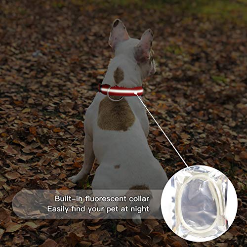 DEWEL Collar Antiparasitos Perro Grande 2-in-1 35-53cm Ajustable, Nylon Collar Perro Grande Fluorescente contra Pulgas, Garrapatas y Mosquitos, Tamaño Ajustable