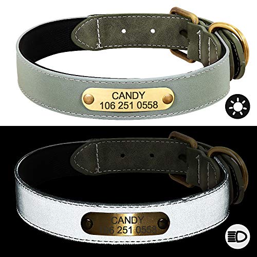 Didog Collar de perro reflectante personalizado con placa de identificación de bronce grabada – Collar de perro acolchado de neopreno suave, collares ajustables para perros pequeños medianos y grandes