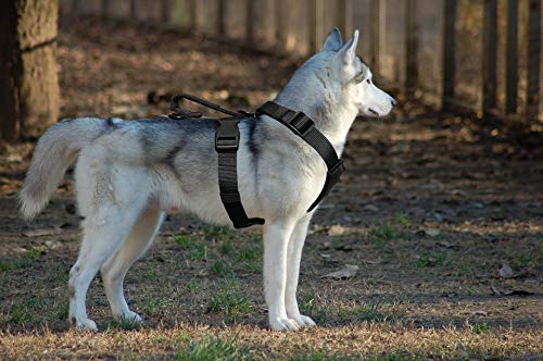 Dihapet Arnés para Perro sin tirón, Chaleco táctico Militar de Trabajo para Perro, arnés Ajustable para Perro con asa para Cachorros, pequeños, medianos y Grandes