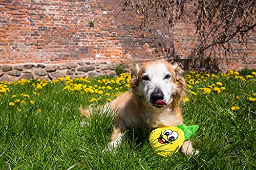 Dingo 16997 - Juguete interactivo de peluche con piña de 19 cm, con sonido incorporado, material de ruido cosido, juego con perro divertido