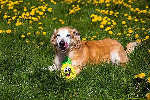 Dingo 16997 - Juguete interactivo de peluche con piña de 19 cm, con sonido incorporado, material de ruido cosido, juego con perro divertido