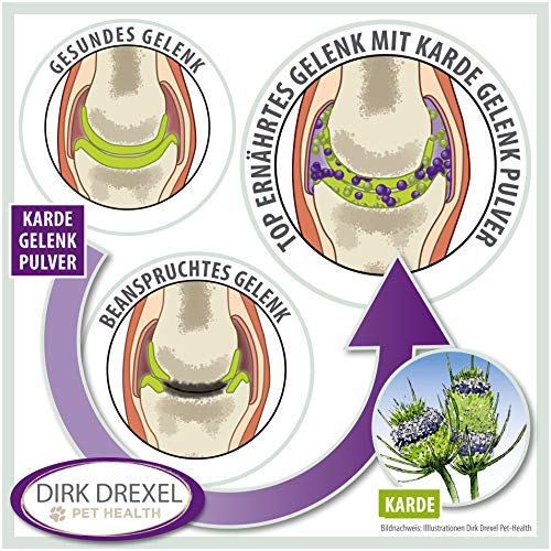 Dirk Drexel Arthro Complex para perros | antes, durante y después del kickamiento de la osteoartrosis, artritis, borreliosis / picaduras de garrapatas | Garra del diablo