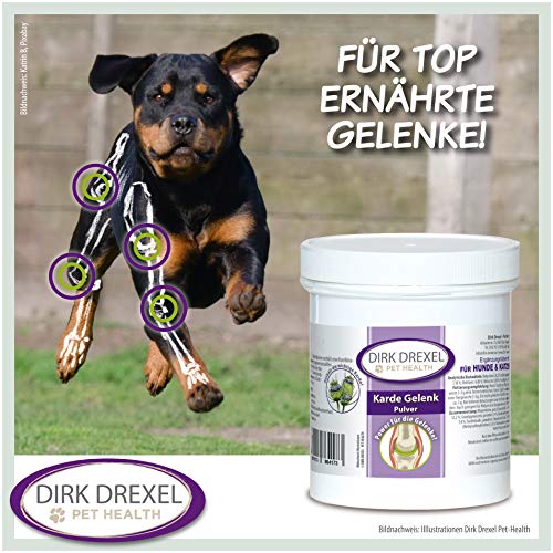 Dirk Drexel Arthro Complex para perros | antes, durante y después del kickamiento de la osteoartrosis, artritis, borreliosis / picaduras de garrapatas | Garra del diablo