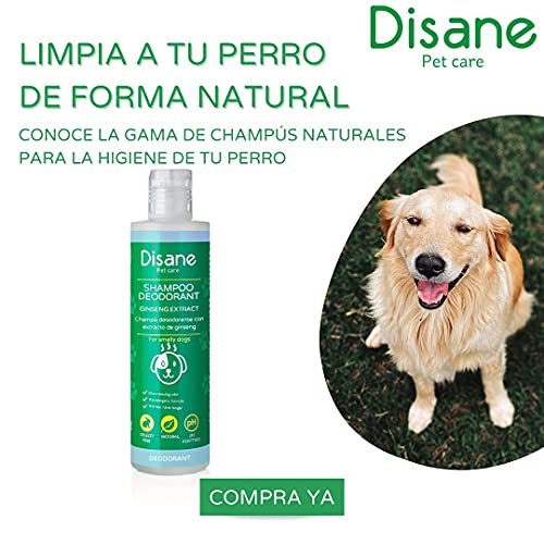 DISANE | Champu Desodorante Perro | Champu Perro | Anti Mal Olor | Antibacteriano | Anti fúngico | Evita los picores | 250 ml |