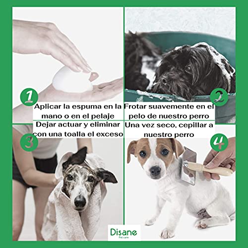 DISANE Champu Perro SECO | Sin Necesidad de Agua ni Aclarado | Elimina los Malos Olores de tu Perro | Producto Natural | 200 ML | Formato Espuma