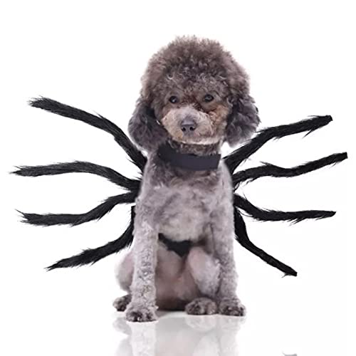 Disfraz de araña de Halloween para Perro Disfraz Perro Halloween Cosplay de Halloween, Decoración de Fiesta con Velcro Ajustable para Perros pequeños y medianos (M)