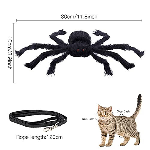 Disfraz De Halloween del Gatos Perros,Disfraz para Perro De Halloween,Mascota araña Ropa,Disfraz de Araña para Halloween,Disfraces Divertidos de Halloween para Mascotas (Negro)