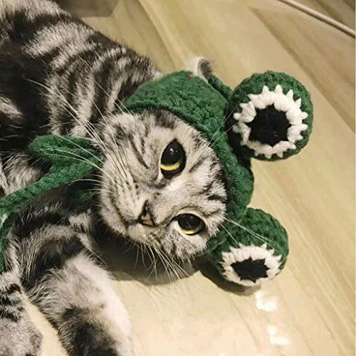 Disfraz de perro Sombrero de la rana mascota sombrero Mi vecino Totoro gorra de béisbol del sombrero del transformador Sombrero al aire libre del visera del sombrero Gorra para mascotas ( tamaño : M )