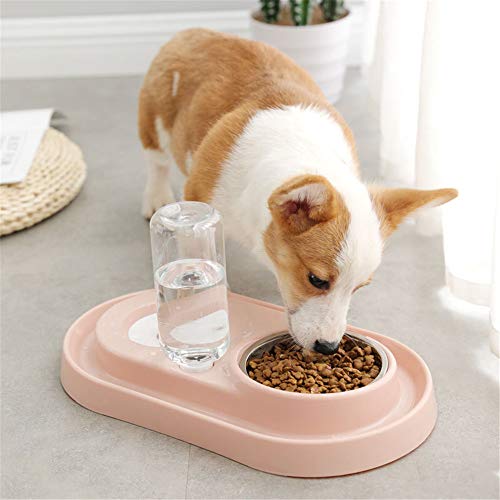 Dispensador de agua y comedero doble para gatos, diseño antideslizante y estable, con dispensador de agua para perros pequeños y gatos