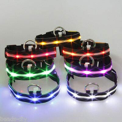 Doberman Pinscher - Collar de perro con luz LED intermitente para perro, color negro con luz de seguridad, destellos rojos o azules, color rojo o azul iluminado K9, correa de plomo tamaño grande