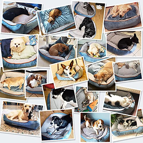 Docatgo Camas Gato Perros Invierno Mascotas Lavable Reversible Originales Relajante Ortopedica Antiestres Viscoelastica, Suave cojín Desmontable 60 X50 X18 cm, ,Pequeños Medianos Perrito Sofa