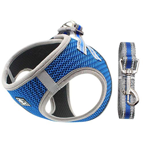 Dociote Arnés para Perros Perros pequeños, Arnés Deportivo para Perros Sin Tirón Malla Suave Reflexivo y Transpirable Arnés para Perros y Juego de Cables Ajustable Azul XS