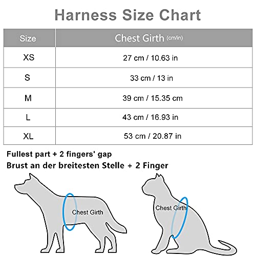 Dociote Arnés para Perros Perros pequeños, Arnés Deportivo para Perros Sin Tirón Malla Suave Reflexivo y Transpirable Arnés para Perros y Juego de Cables Ajustable Turquesa M