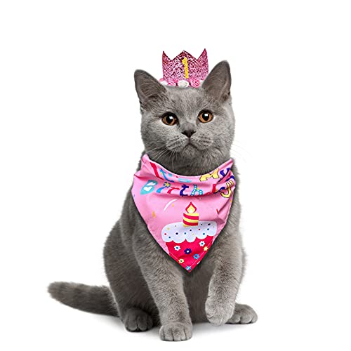 Dog Birthday Pink Flower Crown Hat Triangle Scarf Cute Cat and Dog Headdress Bow Tie Cat and Dog Celebration Birthday Balloon Banner Set, Small Medium Pet Birthday Party Decoration Supplies