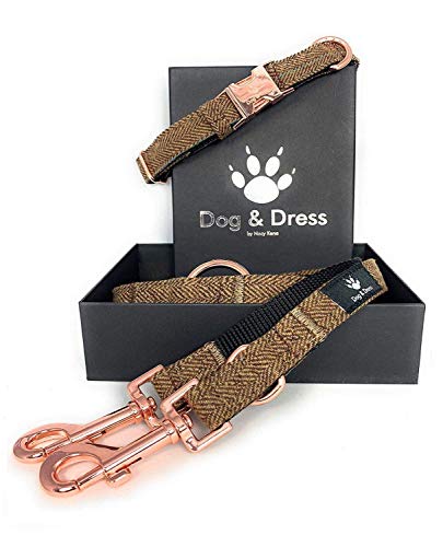 Dog & Dress by Nacy Kena Collar Perro Correa Perro, Oro Rosa, Collar Ajustable, Correa 2 m, 3 Anillos, mosquetón, Perros Pequeño Mediano Grande, Tweed + Nylon, Regalo Originales