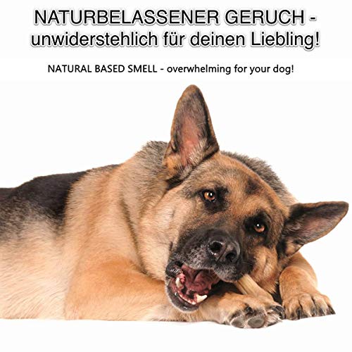 DOGBOSS Huesos masticables Ingredientes 100% Naturales, Diferentes tamaños y sabores (Pack de Prueba con 7 Huesos, 17 cm)