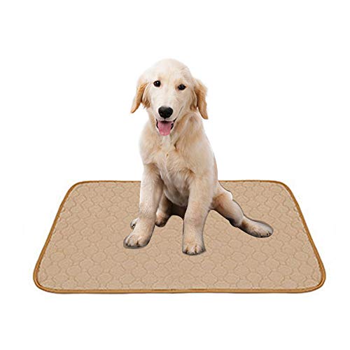 Doglemi Almohadillas de entrenamiento lavables para perros, reutilizables, de 4 capas, de absorción rápida, lavable, alfombrilla de entrenamiento con parte inferior antideslizante,67 x 50 cm (beige)