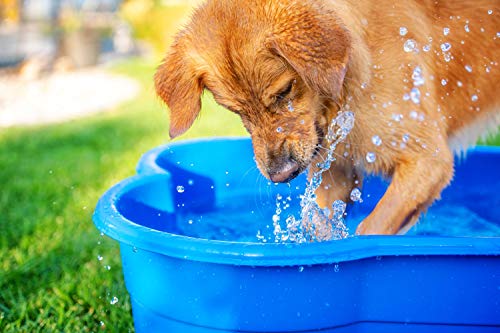 DogsLand Piscina para perros en forma de hueso, 120 cm, azul, para perros grandes y pequeños, resistente a mordeduras y garras, resistente a los rayos UV, 100% fabricado en Alemania