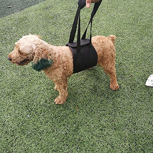 DONGKER Cinturón de Asistencia para Perros, Arnés de Perro, Arnés de Apoyo para Caminar y Asistencia para Perros de Adultos Mayores Lesionados con Mascotas para Subir/Bajar Escaleras