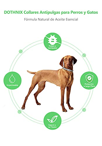 Dothnix Collares Antipulgas Aantiparasitos para Perros y Gatos contra Pulgas, Garrapatas y Mosquitos, 8 Meses de Protección(63cm)