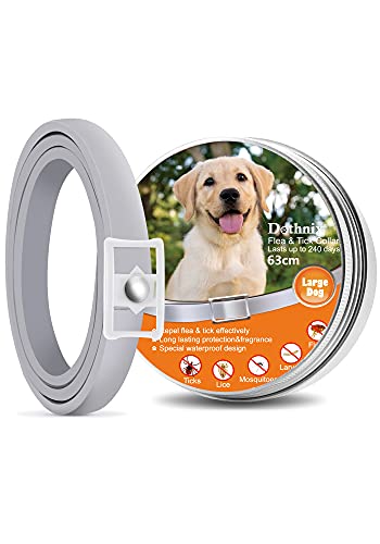 Dothnix Collares Antipulgas Aantiparasitos para Perros y Gatos contra Pulgas, Garrapatas y Mosquitos, 8 Meses de Protección(63cm)