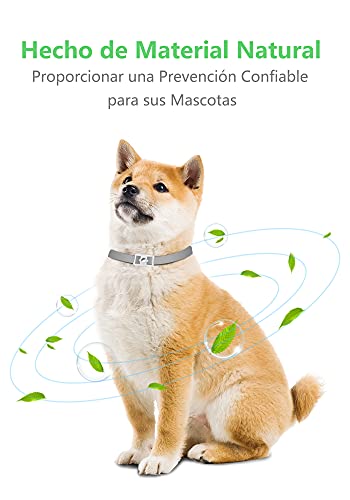 Dothnix Collares Antipulgas Aantiparasitos para Perros y Gatos contra Pulgas, Garrapatas y Mosquitos, 8 Meses de Protección(63cm)