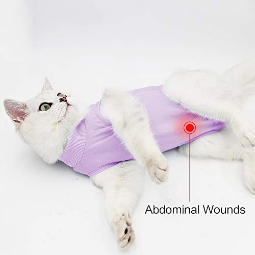 Dotoner Traje de recuperación Profesional para heridas Abdominales o Enfermedades de la Piel, Alternativo para Gatos y Perros, después de la cirugía, Ropa para el hogar（Púrpura，S