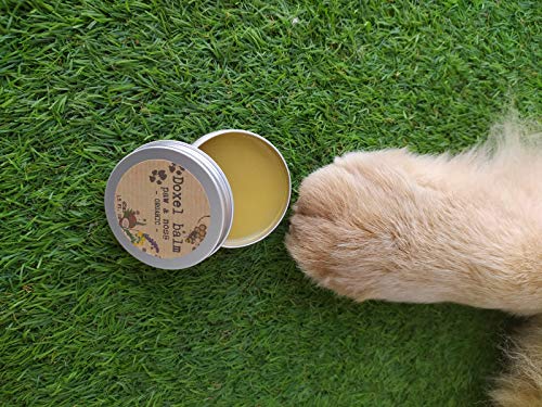 Doxel Eco Balm, Bálsamo Natural para Perros, Hidrata, Nutre, Protege, Repara y Calma Las Almohadillas Patas y Nariz, Protector Piel, 100% Natural, 100% ECOLÓGICO, 45ml, Amarillo