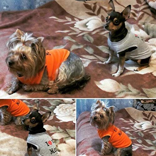 Ducomi Animales domésticos aman la camiseta el perro y el gato en la camiseta de algodón de verano los naranja