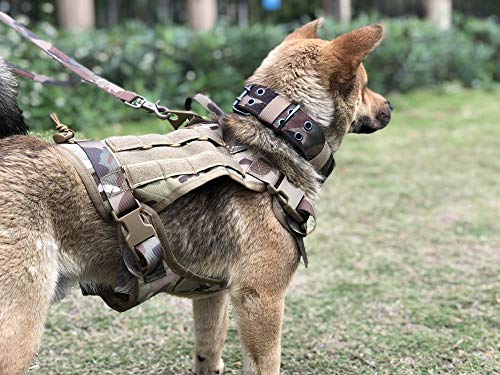 Ducomi Arnés Táctico Militar + Correa para Perro K9, Perros de Entrenamiento y de Trabajo - Arnés Chaleco para Perros Medianos, Grandes, Pastor Alemán, Pitbull, Rottweiler (Camo + Correa, M)