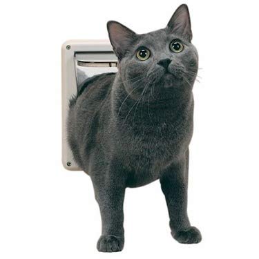 Ducomi Gatera para gatos y perros de pared - Puerta basculante con 4 vías Entrada y salida controlada y cierre magnético - Fácil instalación en paredes, puertas y ventanas de madera y PVC (Black, S)