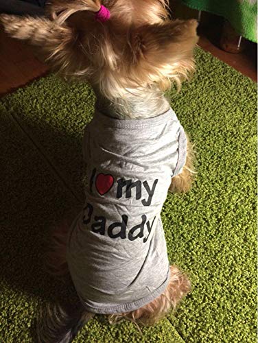 Ducomi Pets Love - Camiseta para perro y gato de algodón - Camiseta de verano para perros de pequeño y mediano tamaño y cachorros - Ropa de chihuahua, caniche y Razzy Toy (XL, Daddy Navy)