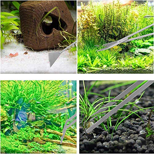 DXIA Aquarium Aquascaping Kit, 4 en 1 Acero Inoxidable Acuario Tanque Planta Pinzas Tijeras Set, Acuático Planta Pinzas Tijeras Set, Tanque Acuática Herramientas Conjuntos Pinzas Tijera Espátula