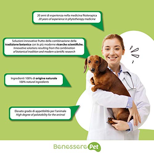 DYNAMOPET BenesserePet Cicatryx Crema Dermo Regeneradora para Perros y Gatos 50ml, Crema Cicatrizante de Heridas para Mascotas, Ungüento Renovador de la Piel, Protege y Calma, Sin Parabenos