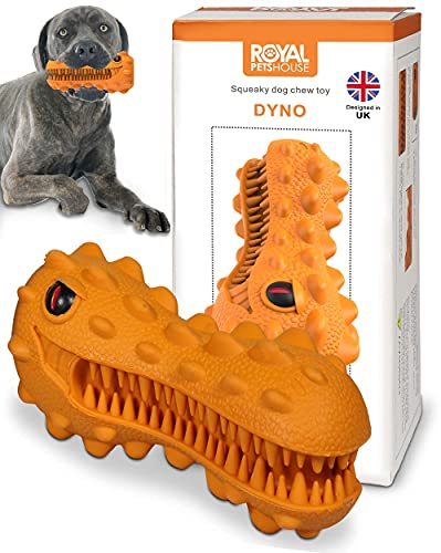 Dyno de Juguete masticable para Perros Royal Pets House | chirriante | Caucho Resistente y Duradero | Juguetes de Cepillo de Dientes para masticadores