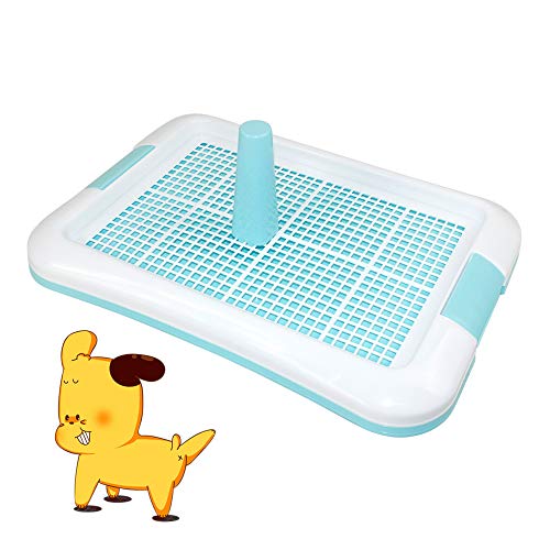 DZL- Bandeja Sanitaria de Adiestramiento Inodoro Interior para Perros Aseo Mascotas Bandeja de Entrenamiento para Mascotas Orinal para Perros (M 49 * 35cm)