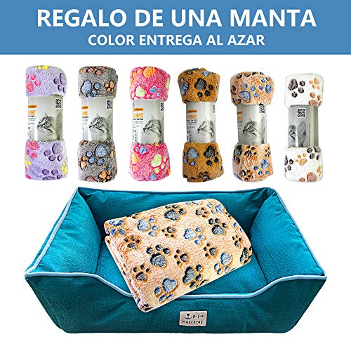 DZL- Cama de Perros y Mascotas Básica Desmontable y Extraíble Regalo Manta Perro Camas para Perros Gatos Alfombra para Mascotas (XXL-82 * 102 * 25CM, Azul)