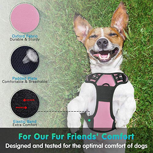 Eagloo Arnes de Perro Antitirones Cómodo Chaleco Ajustable Correa al Cuello y Pecho Para Perros Pequeños Material Duradero Transpirable Con Cinta Reflectante Adaptarse a Ejercer Externo S/Rosa