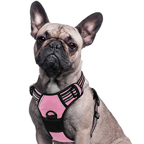 Eagloo Arnes de Perro Antitirones Cómodo Chaleco Ajustable Correa al Cuello y Pecho Para Perros Pequeños Material Duradero Transpirable Con Cinta Reflectante Adaptarse a Ejercer Externo S/Rosa