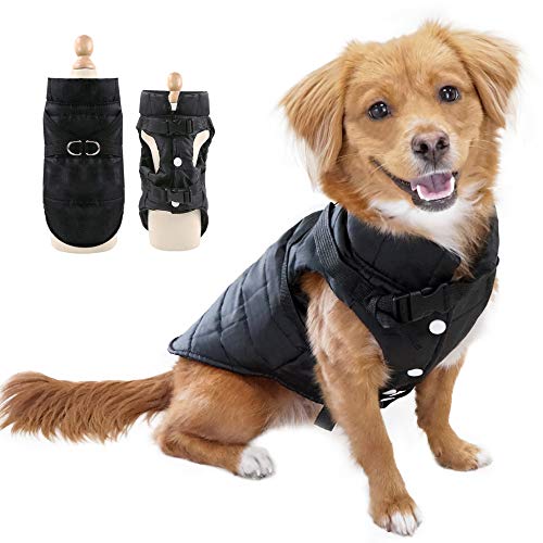 Eastlion Abrigo Perro Pequeño para Invierno,Impermeable Chaleco Prueba de Viento con Orificio para arnés,Cálido Chaqueta Ropa para Mascotas Cachorro,Negro,M